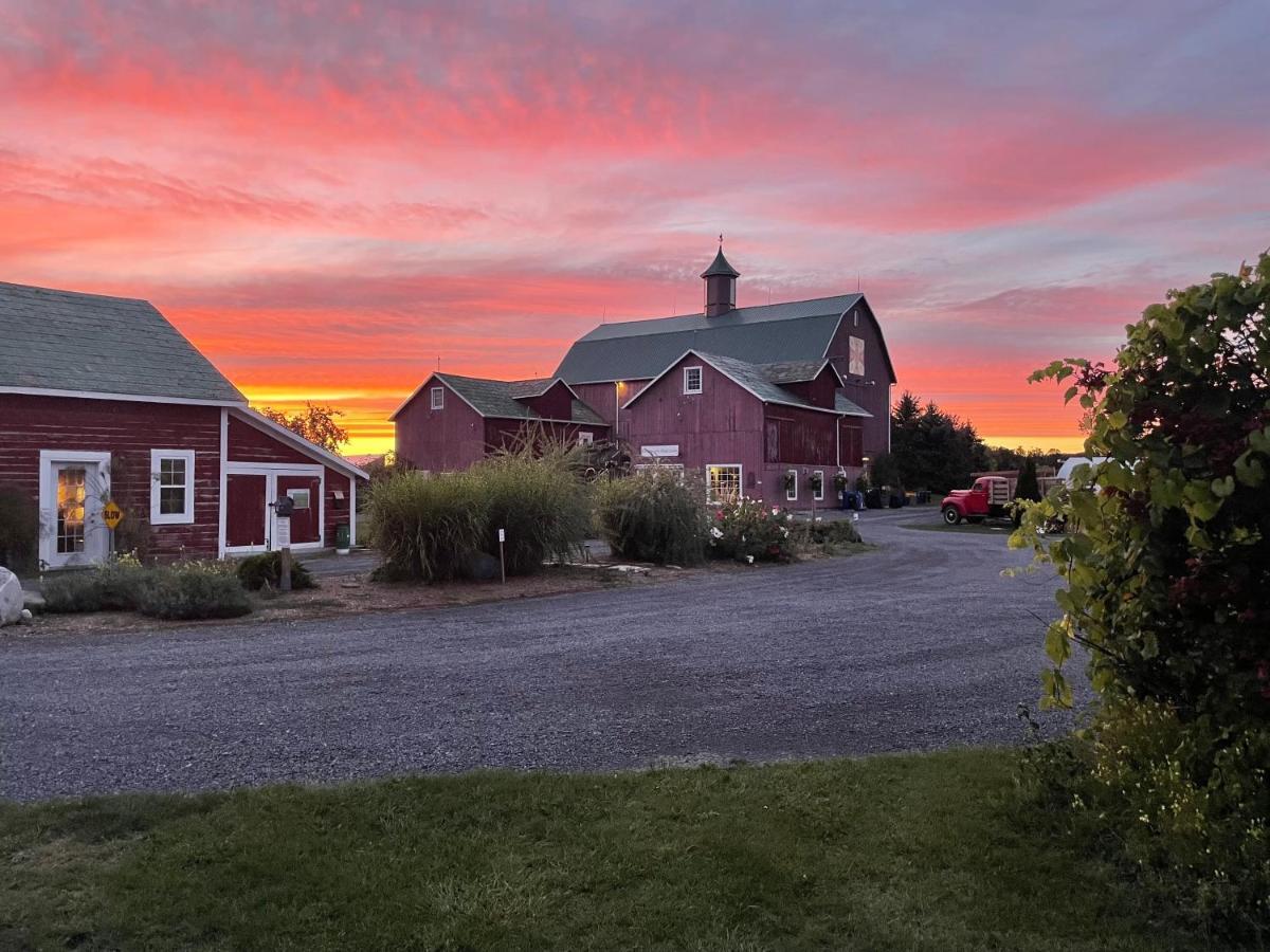 The Eddie Hotel And Farm Bloomfield 外观 照片